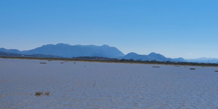 Sólo un Decreto Presidencial como zona de Restauración Ecológica podrá salvar al lago de Cuitzeo