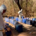 Aseguran 12 ‘narcolaboratorios’ en tres municipios de Sinaloa