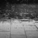 Se esperan lluvias y rachas de viento intensas en estos estados de México