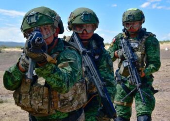 Ejército Mexicano erradicó 331 plantíos de enervantes