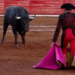 Corridas de toros sin sangre en CDMX: Congreso aprobó iniciativa y Brugada lo celebra