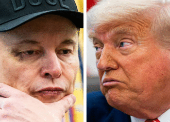 Trump amenaza con deportar a Elon Musk: “Hay que revisar sus papeles”