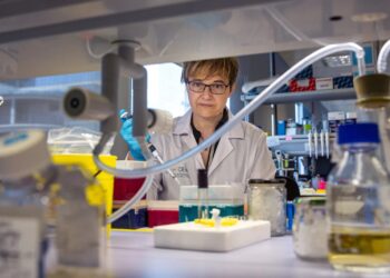 Los científicos validan una nueva estrategia terapéutica para prevenir el Parkinson