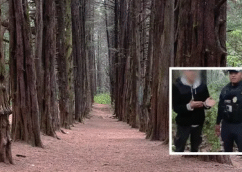 Encuentran sano y salvo a menor extraviado en el bosque El Ocotal, Cuajimalpa