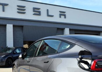 Caen 13.5% las ventas globales de Tesla en el segundo trimestre