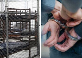 EE.UU. estudia abrir otros “Alligator Alcatraz” en Arizona, Nebraska y Luisiana