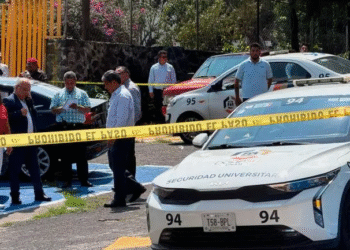 Llama Iglesia a prestar atención a la relación de jóvenes con el mundo digital