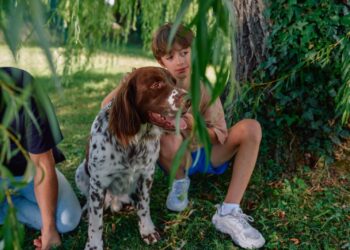 México mantiene la rabia canina bajo control, pero la amenaza persiste: vacunar es clave