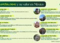 Dinero.MX: Esto cuesta vivir en las casas más embrujadas de México