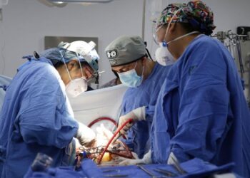 Mayoría de trasplantes de órganos se realizan en hospitales públicos: Ssa