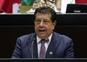 Necesario, establecer prisión preventiva por delitos contra el ambiente