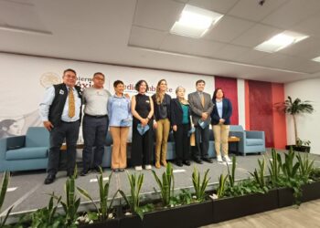 La presencia de la mariposa Monarca aumenta 64% en los bosques de hibernación mexicanos