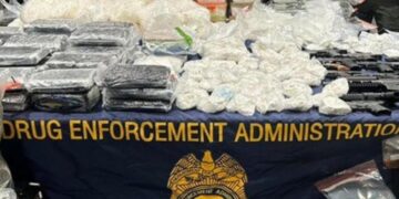 EU reconoce colaboración con México en desmantelamiento de cártele