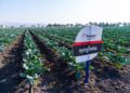 Syngenta acerca innovación y tecnología al campo mexicano con el lanzamiento de Incipio®