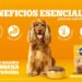 Un compromiso con la salud y el bienestar de las mascotas a través de “La Promesa de Nutrición de PEDIGREE®”
