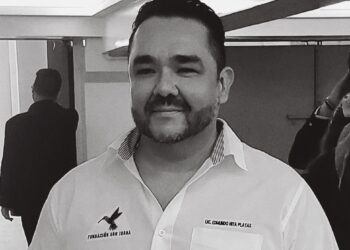 Seis acciones para lograr seguridad pública