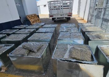 Aseguran 600 kilos de marihuana oculta en falsos equipos de aire acondicionado en Tabasco; hay un detenido