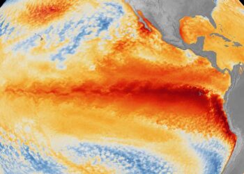 La ONU prevé un “golpe” de ‘El Niño’ a la seguridad alimentaria centroamericana