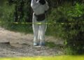 Desplazan criminales a comunidades en Chihuahua con uso de drones y ‘tierra quemada tecnológica’