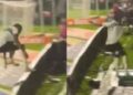 Jugador de Coritiba celebra gol, cae a un túnel y el VAR le da la peor noticia