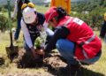 México ante el reto de recuperar sus bosques