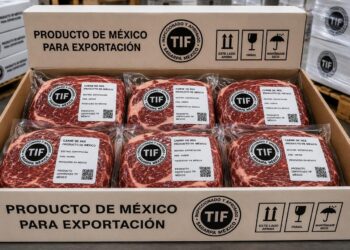 México reduce dependencia de carne importada y dispara sus exportaciones 20%