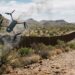 Operación Águila Alta concluye con cinco drones inhabilitados y un detenido