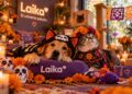Mascotas, disfraces y tradición: octubre también se vive a cuatro patas