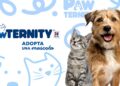 Hill’s Pet Nutrition lanza Pawternity para transformar la adopción de mascotas en México
