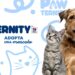 Hill’s Pet Nutrition lanza Pawternity para transformar la adopción de mascotas en México